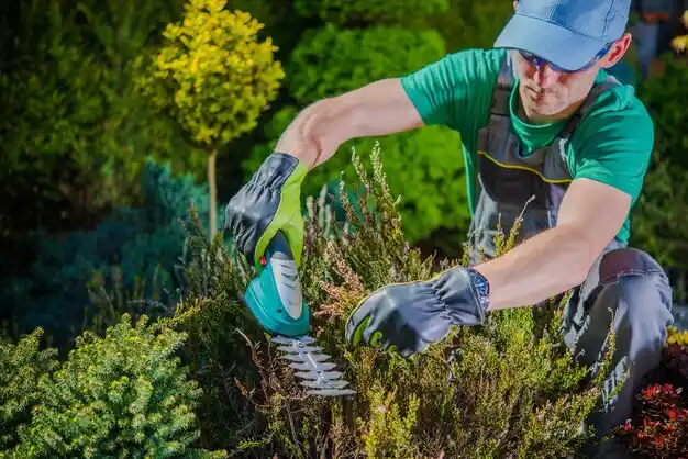 landscaping services Sarepta